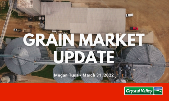 Grain Update 2